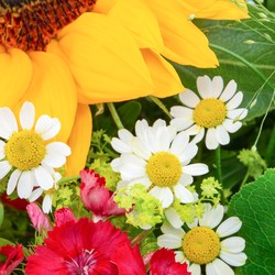 1022_Detail_1.jpg