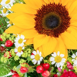 1022_Detail_2.jpg